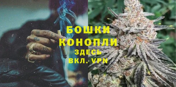 винт Гусь-Хрустальный